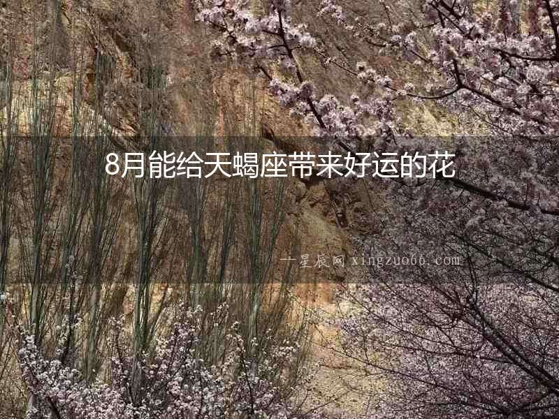 8月能給天蝎座帶來好運(yùn)的花