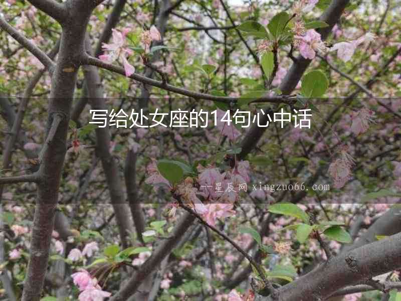 寫給處女座的14句心中話