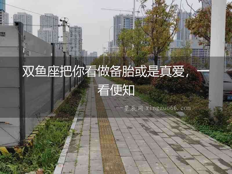 雙魚座把你看做備胎或是真愛，一看便知
