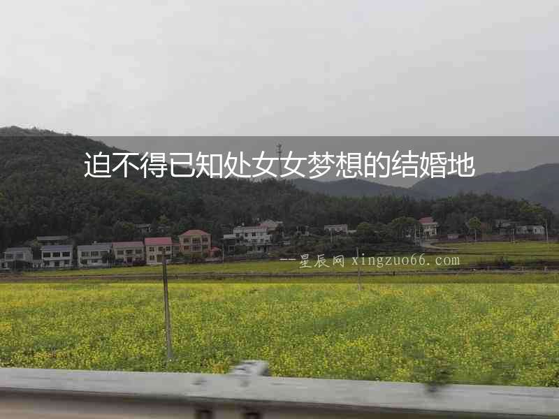 迫不得已知處女女夢想的結婚地