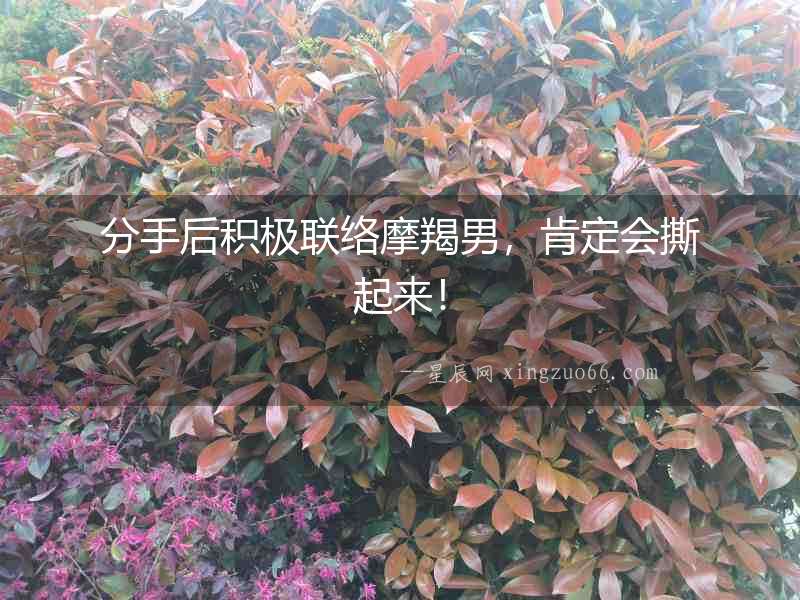 分手后積極聯(lián)絡(luò)摩羯男，肯定會撕起來！