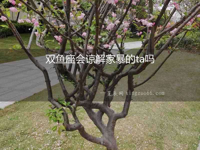 雙魚座會諒解家暴的ta嗎