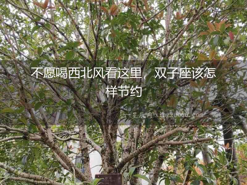 不愿喝西北風看這里，雙子座該怎樣節約