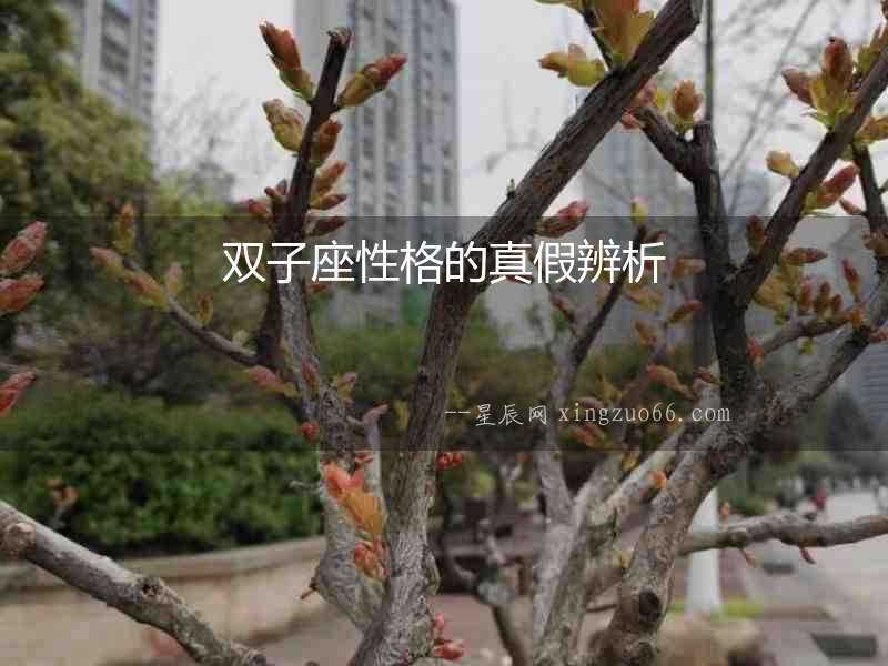 雙子座性格的真假辨析