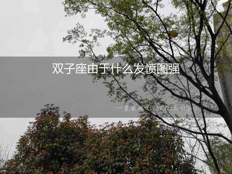 雙子座由于什么發(fā)憤圖強