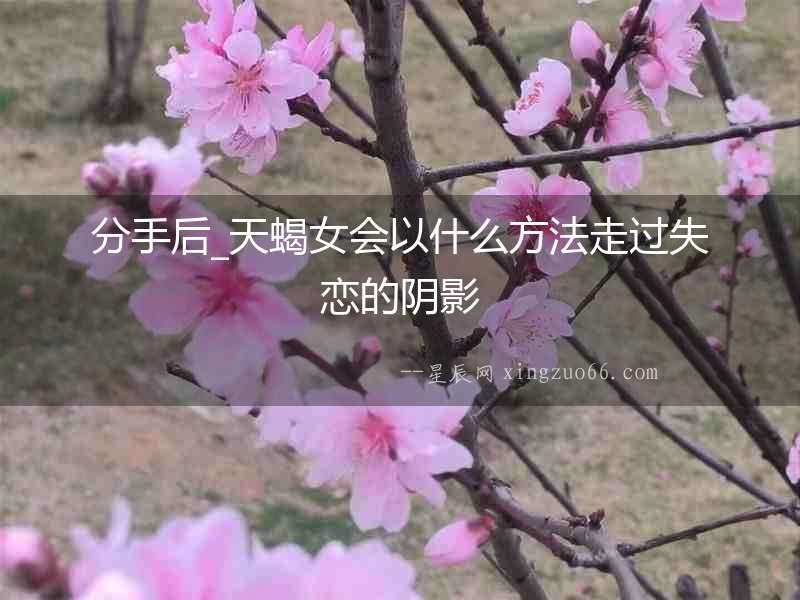 分手后_天蝎女會(huì)以什么方法走過失戀的陰影