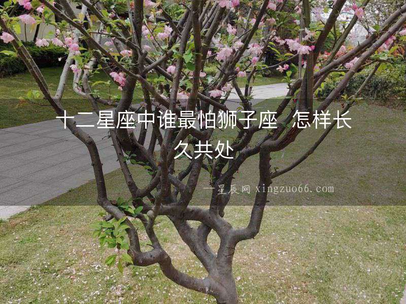 十二星座中誰最怕獅子座  怎樣長久共處