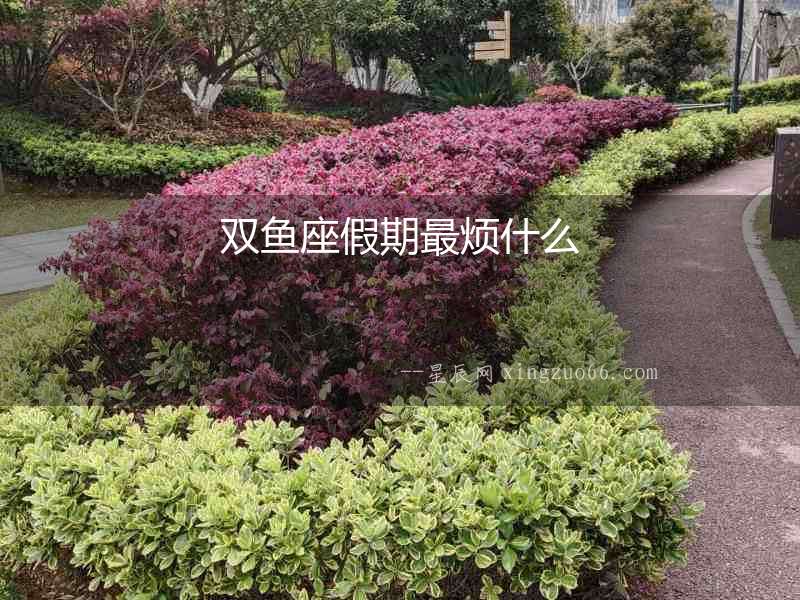 雙魚座假期最煩什么