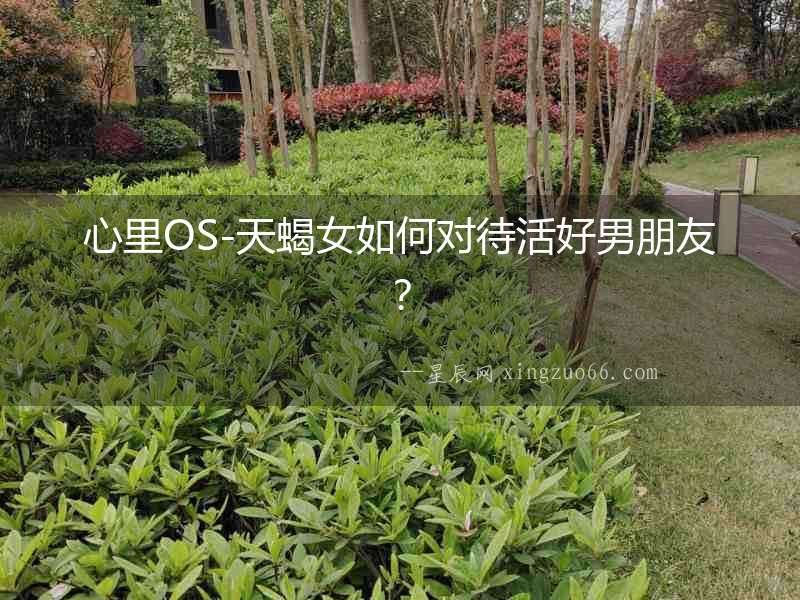 心里OS-天蝎女如何對待活好男朋友？