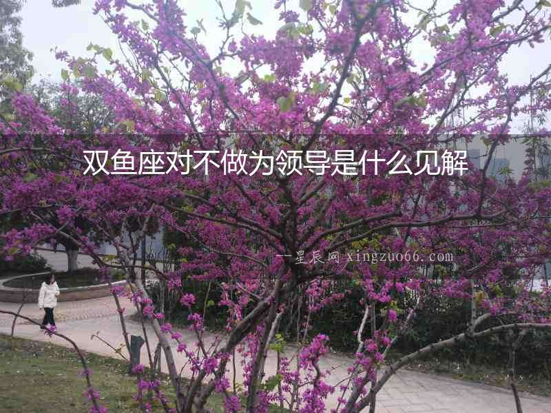 雙魚座對不做為領導是什么見解