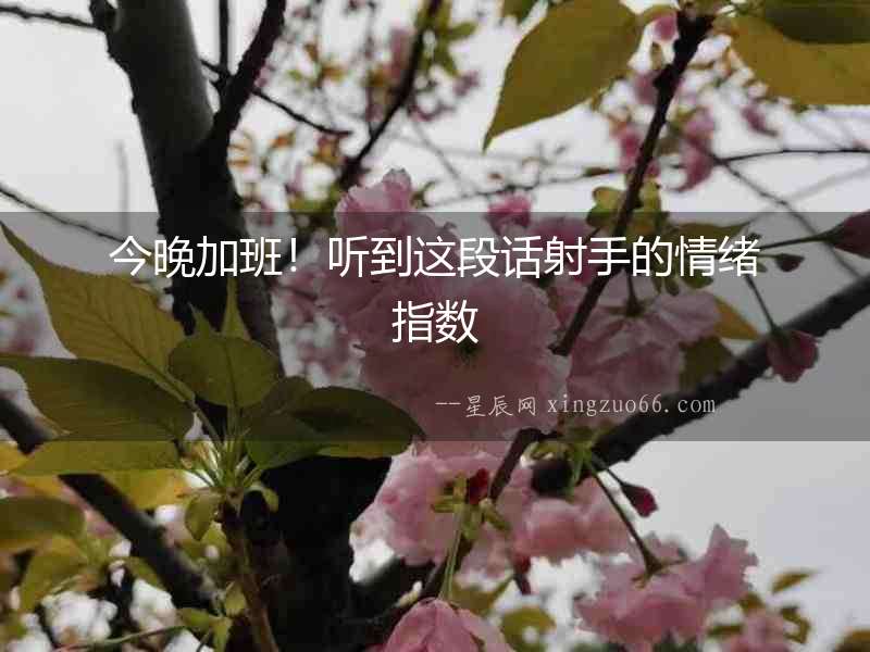 今晚加班！聽到這段話射手的情緒指數