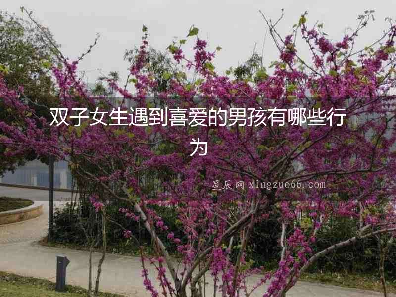 雙子女生遇到喜愛的男孩有哪些行為