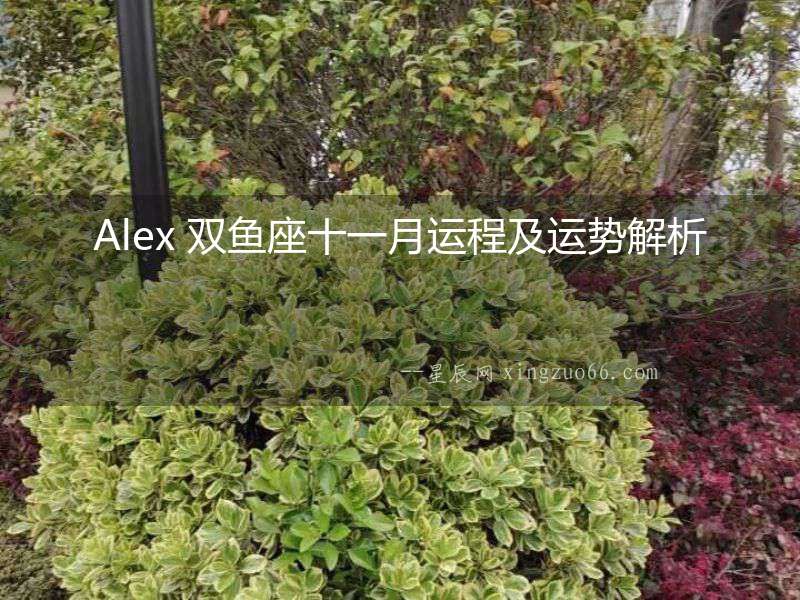 Alex 雙魚座十一月運程及運勢解析