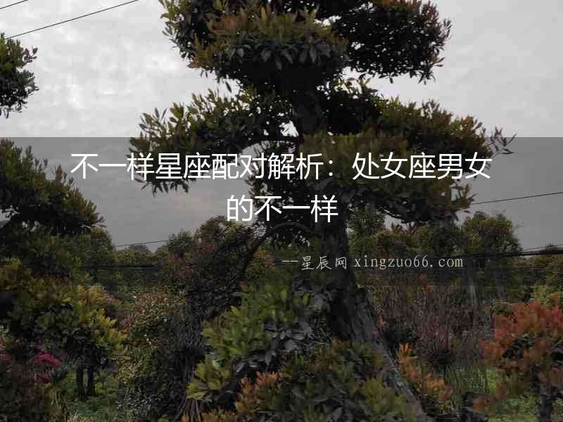 不一樣星座配對解析：處女座男女的不一樣