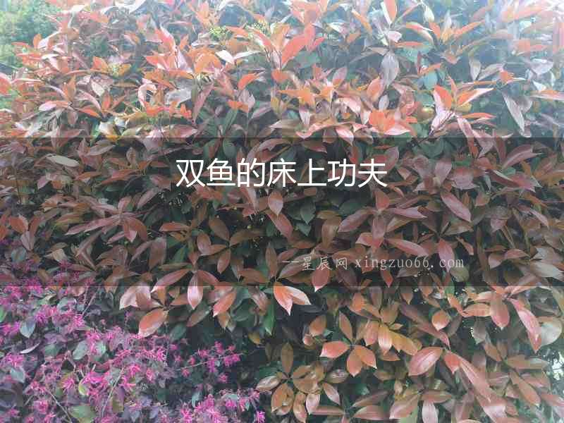 雙魚的床上功夫