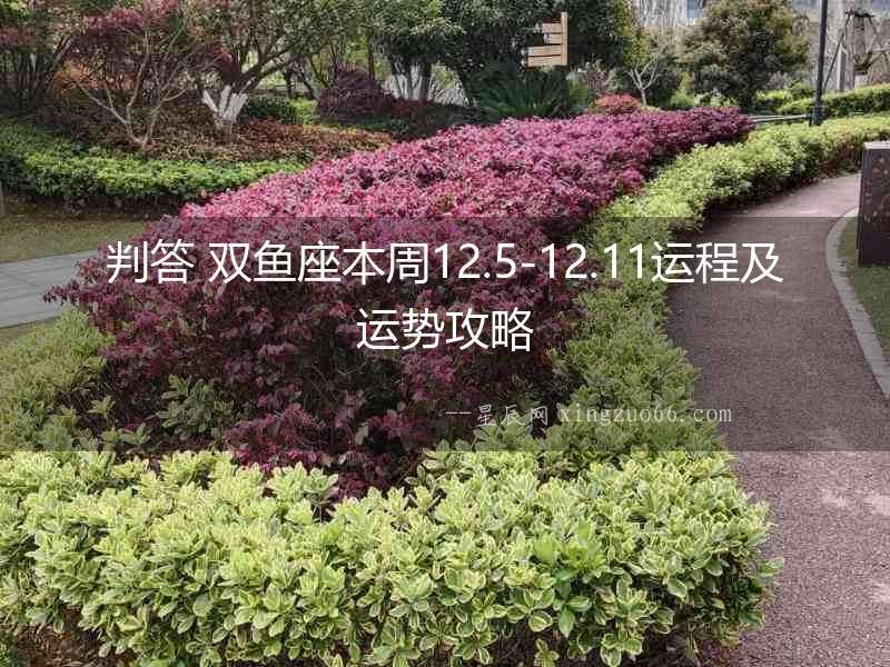 判答 雙魚座本周12.5-12.11運程及運勢攻略