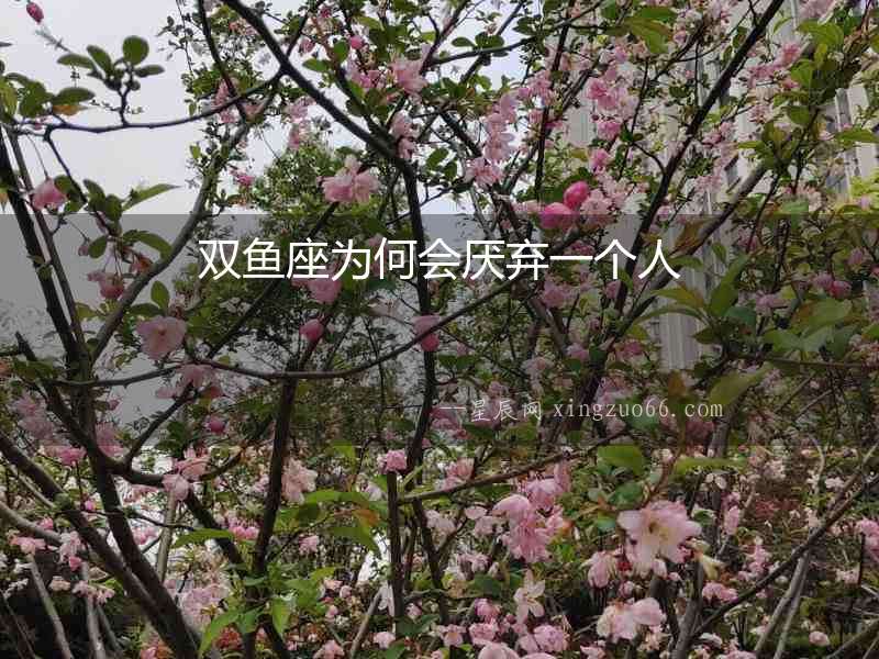 雙魚座為何會厭棄一個人