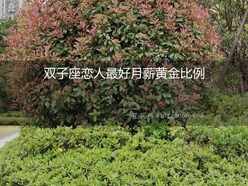 雙子座戀人最好月薪黃金比例