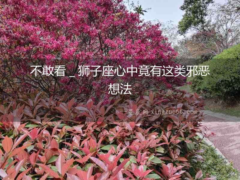 不敢看＿獅子座心中竟有這類邪惡想法