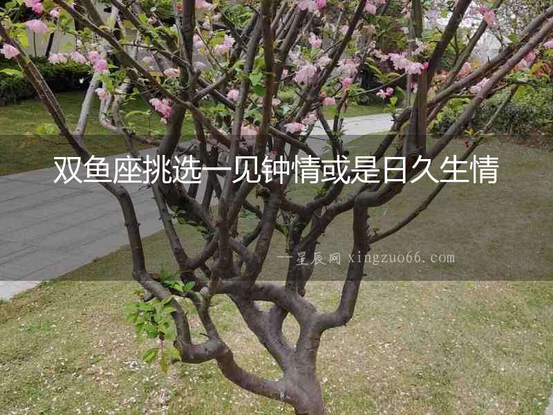 雙魚座挑選一見鐘情或是日久生情