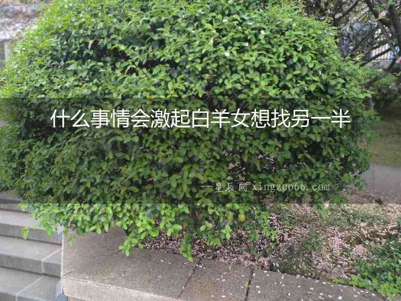什么事情會激起白羊女想找另一半