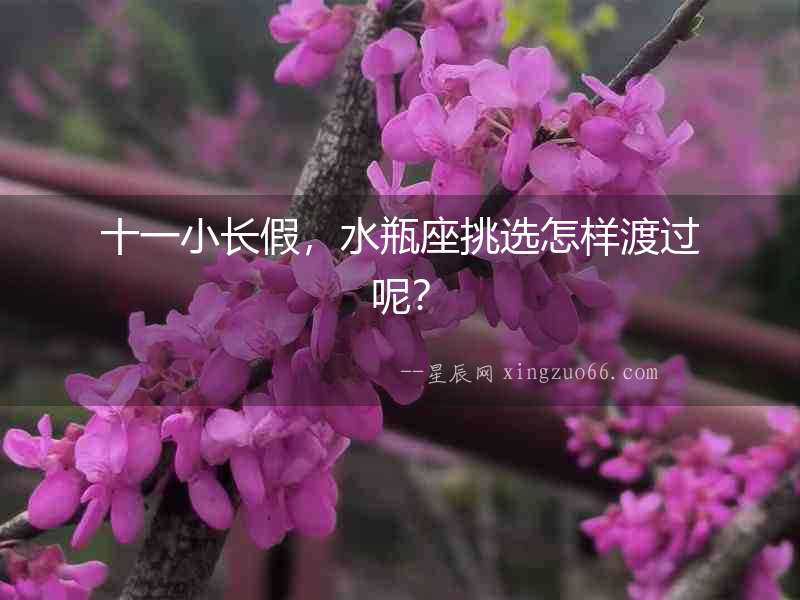 十一小長假，水瓶座挑選怎樣渡過呢？