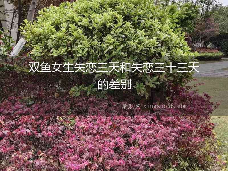 雙魚女生失戀三天和失戀三十三天的差別