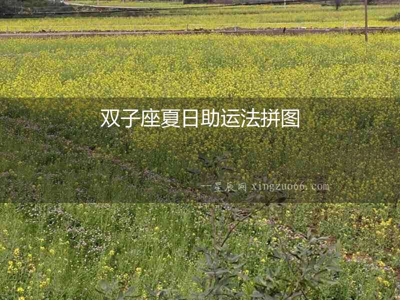 雙子座夏日助運法拼圖
