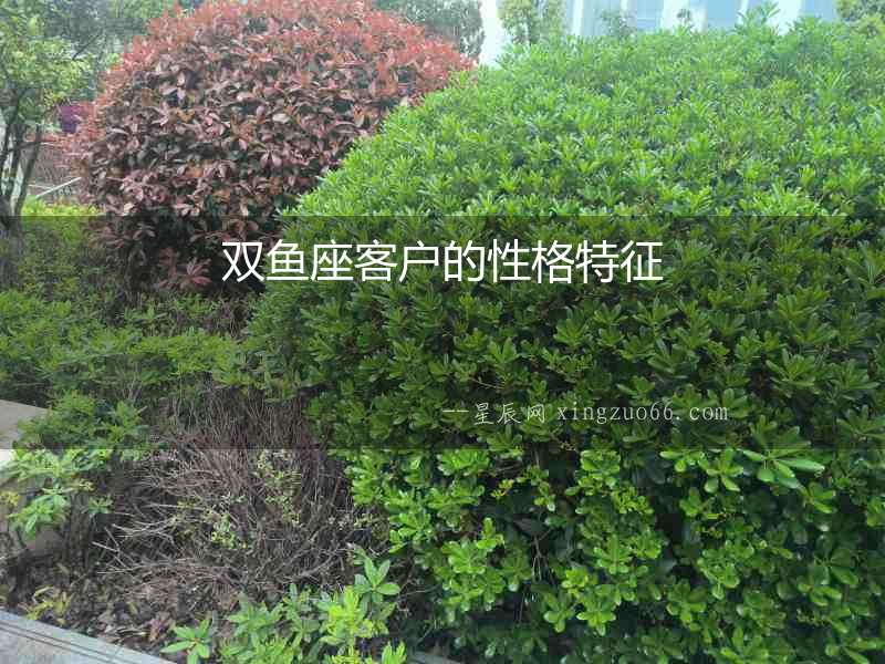 雙魚座客戶的性格特征