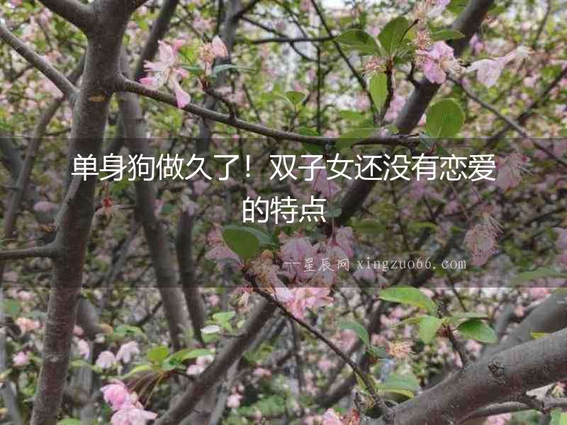 單身狗做久了！雙子女還沒有戀愛的特點