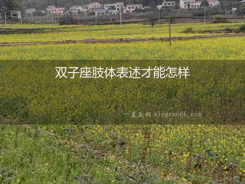 雙子座肢體表述才能怎樣