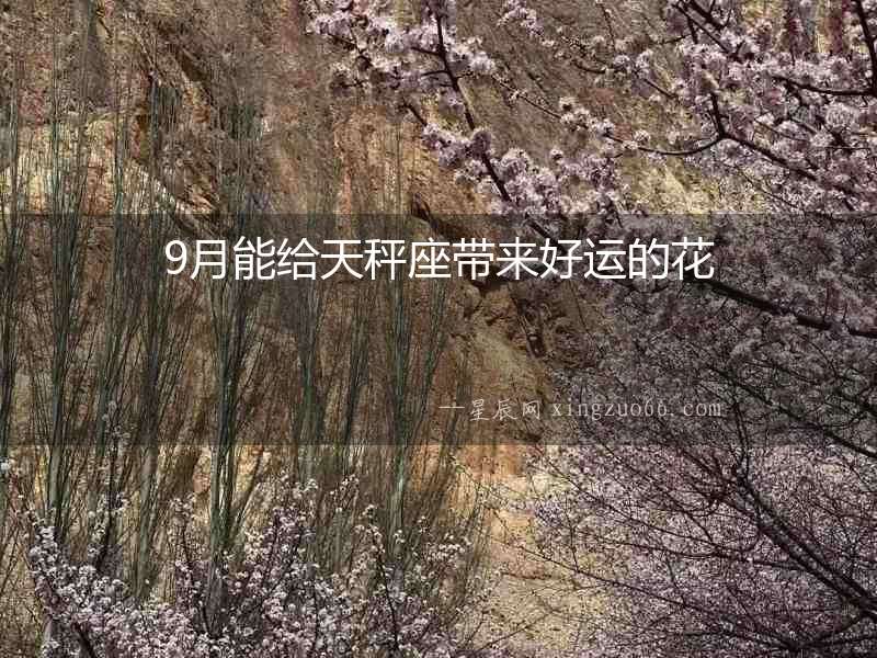 9月能給天秤座帶來好運的花