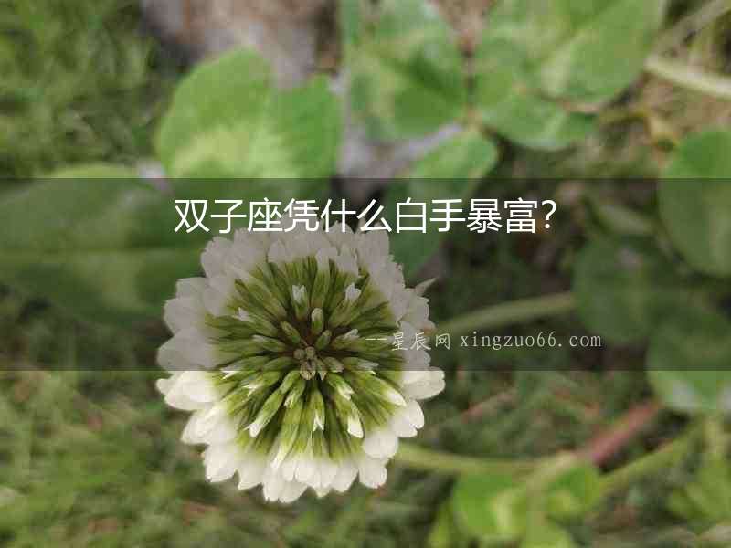 雙子座憑什么白手暴富？
