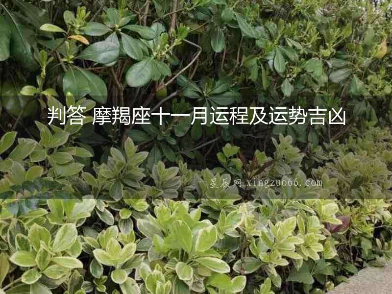 判答 摩羯座十一月運程及運勢吉兇