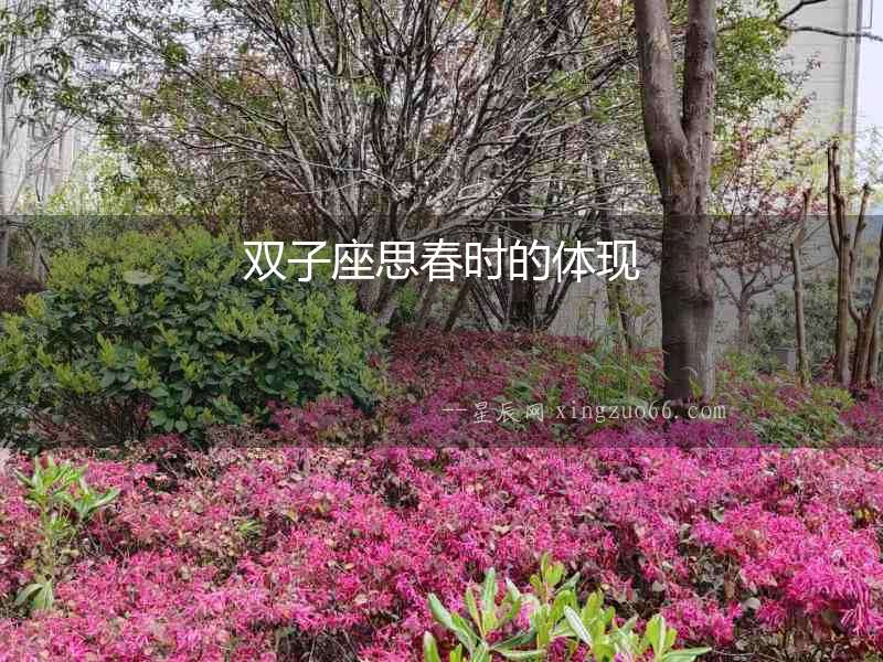 雙子座思春時的體現