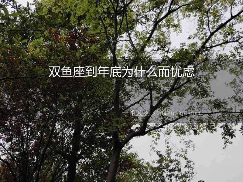 雙魚座到年底為什么而憂慮
