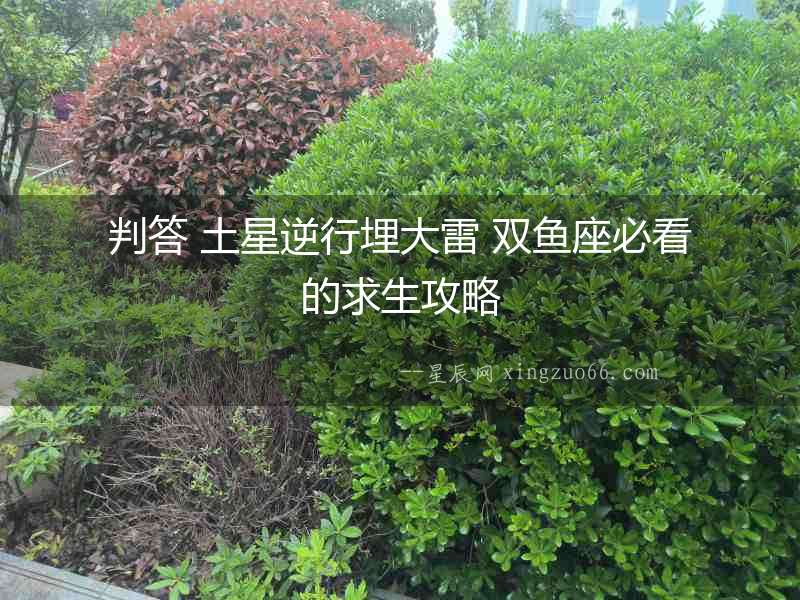 判答 土星逆行埋大雷 雙魚座必看的求生攻略