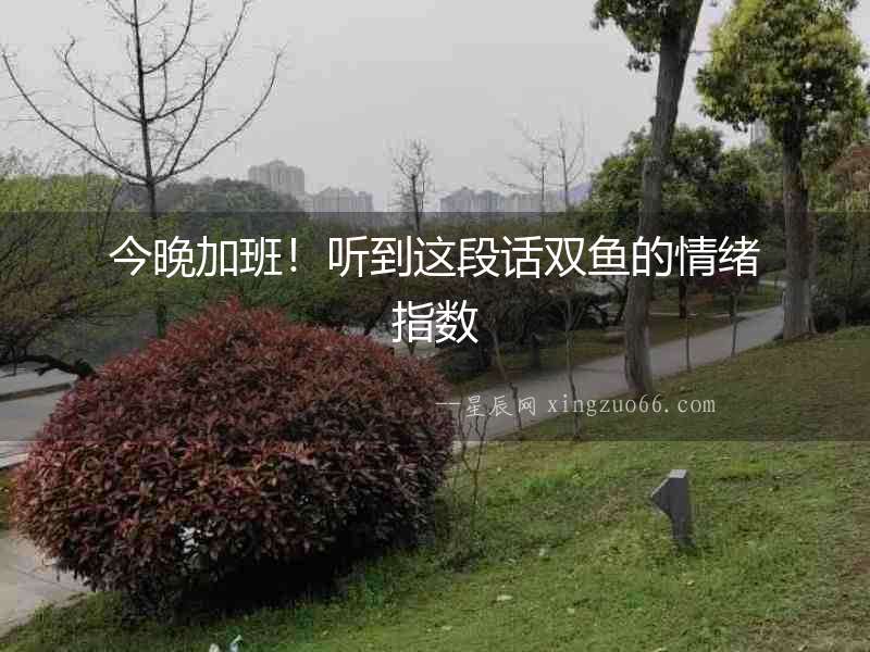 今晚加班！聽到這段話雙魚的情緒指數