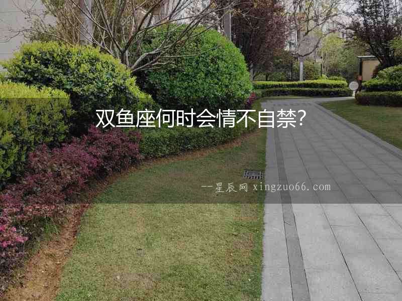 雙魚座何時會情不自禁？