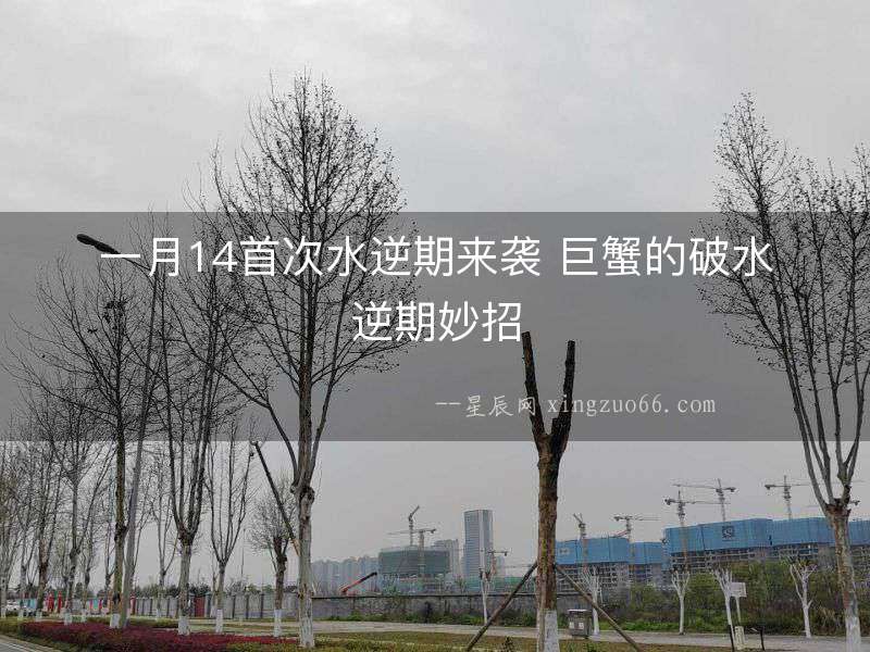 一月14首次水逆期來襲 巨蟹的破水逆期妙招