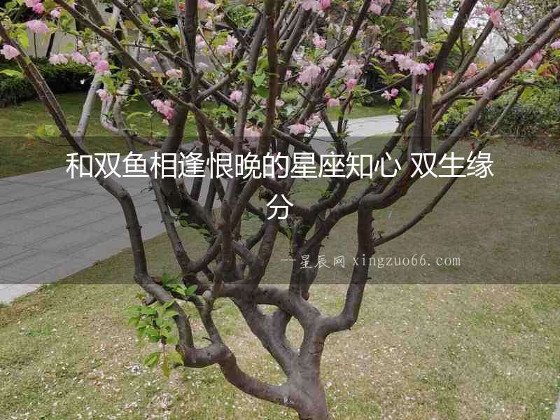 和雙魚相逢恨晚的星座知心 雙生緣分