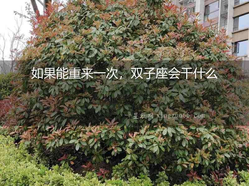 如果能重來(lái)一次，雙子座會(huì)干什么