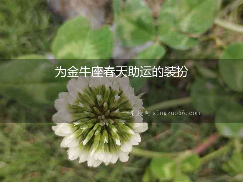 為金牛座春天助運的裝扮