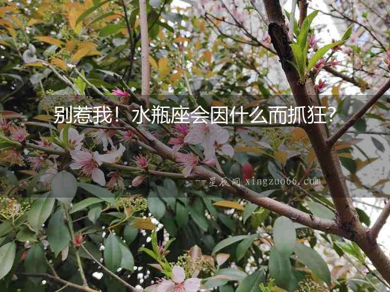 別惹我！水瓶座會因什么而抓狂？