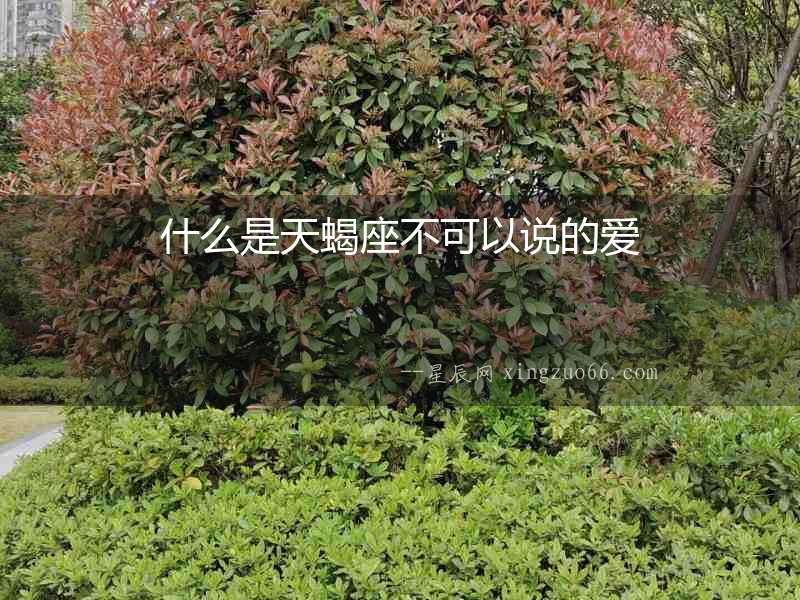 什么是天蝎座不可以說的愛