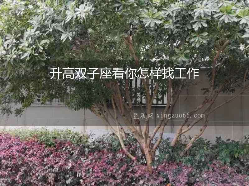 升高雙子座看你怎樣找工作