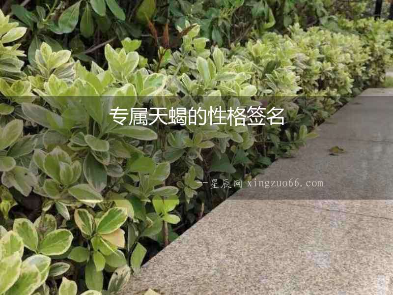 專屬天蝎的性格簽名
