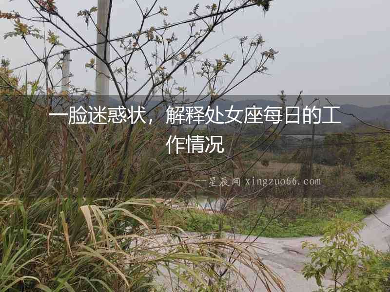 一臉迷惑狀，解釋處女座每日的工作情況