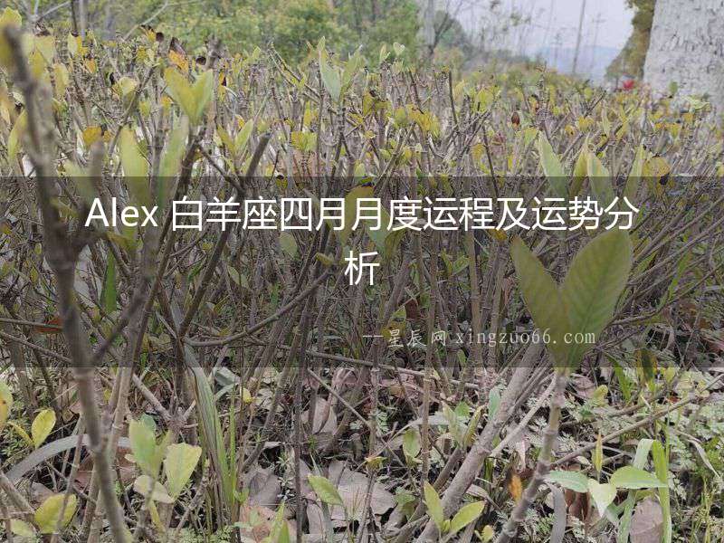 Alex 白羊座四月月度運程及運勢分析