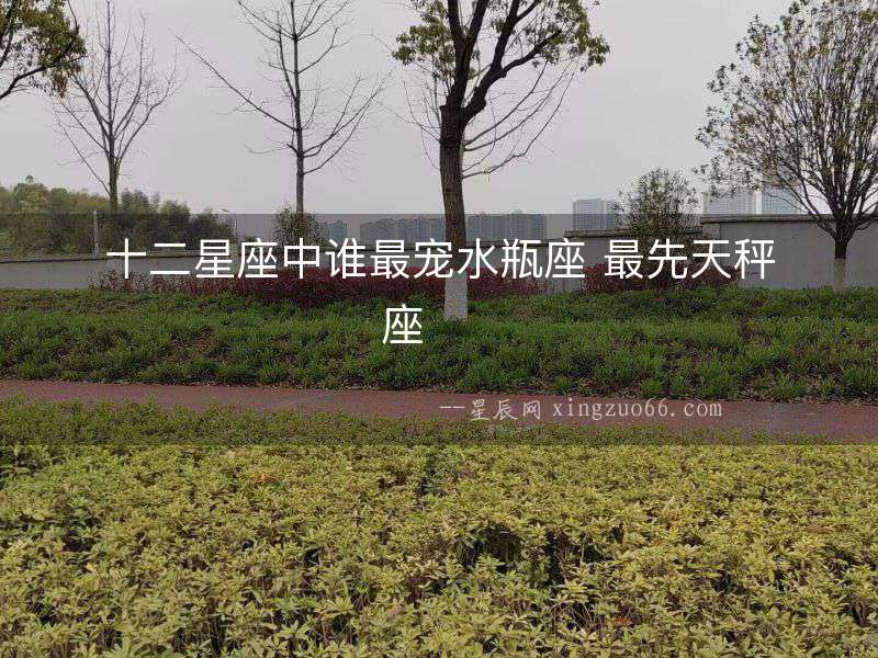 十二星座中誰最寵水瓶座 最先天秤座  　　